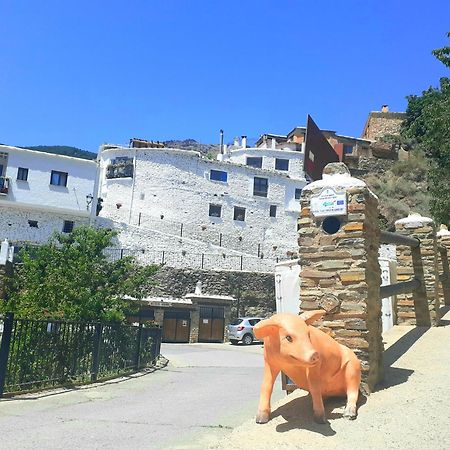 La Casa De La Bombilla Verde Trevélez المظهر الخارجي الصورة