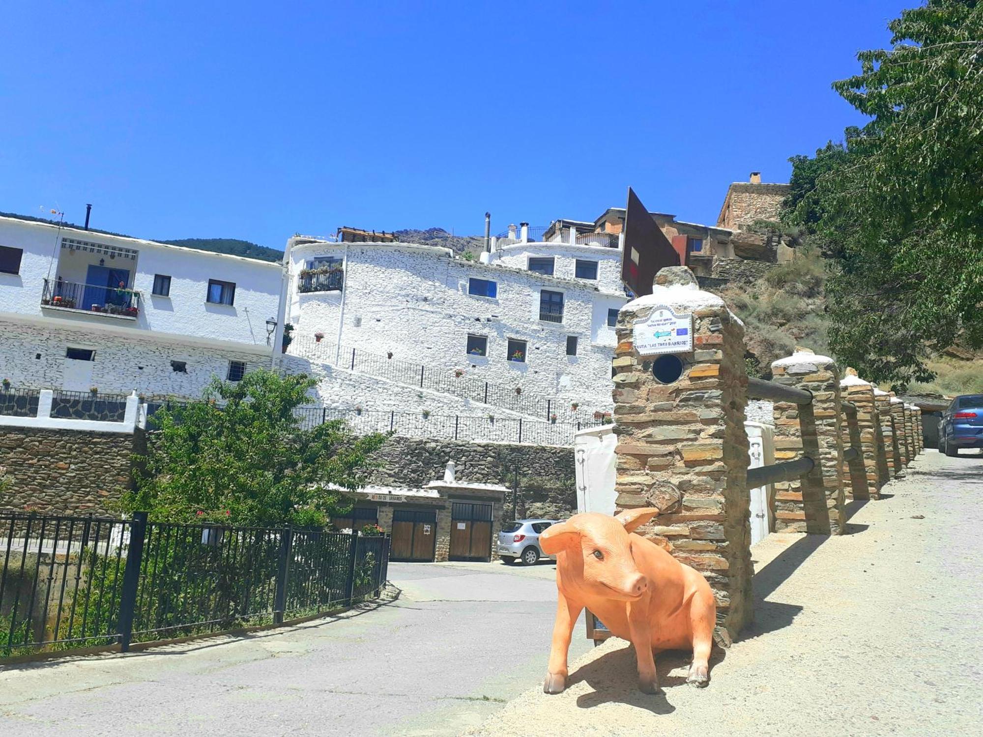 La Casa De La Bombilla Verde Trevélez المظهر الخارجي الصورة