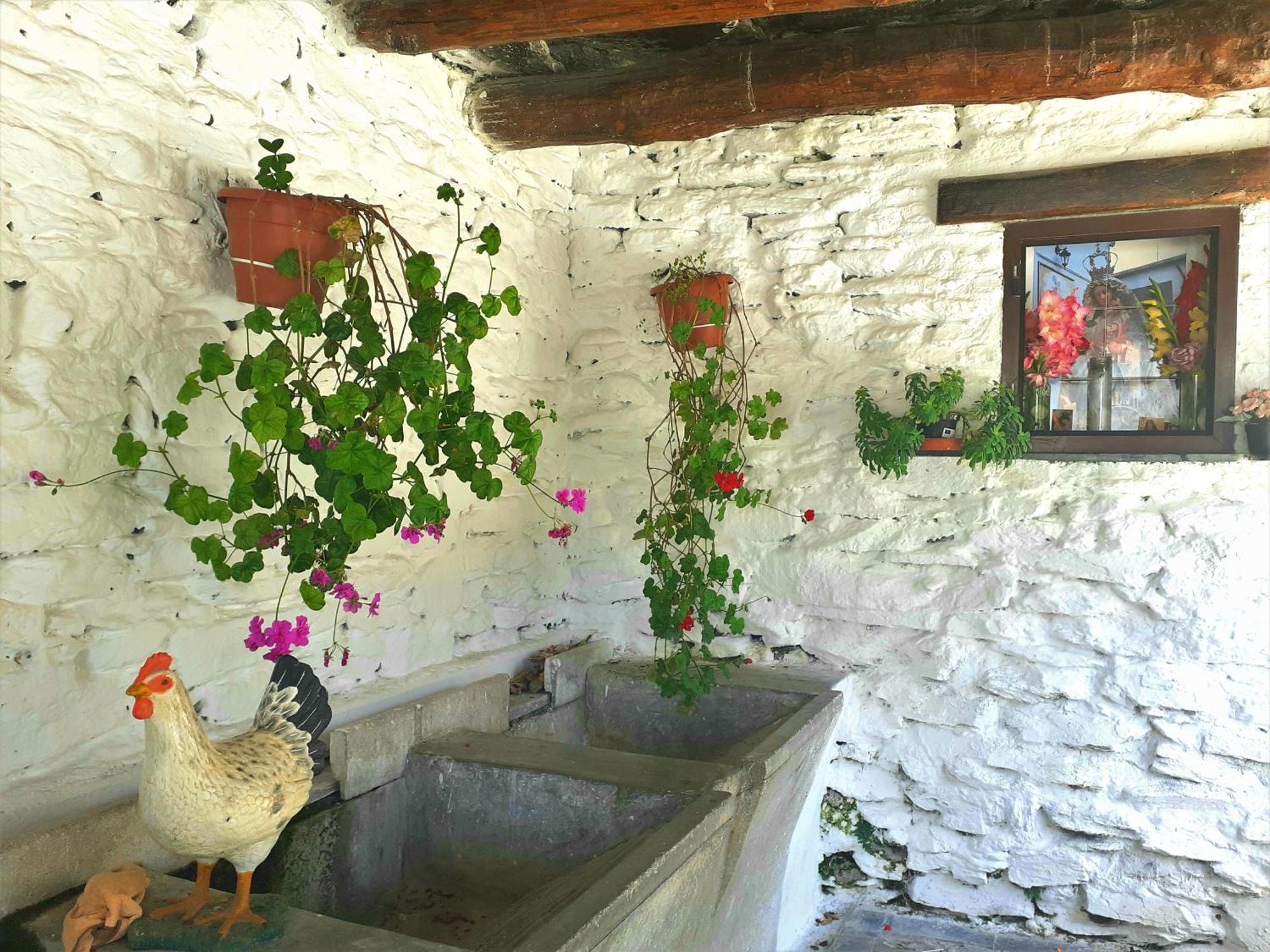 La Casa De La Bombilla Verde Trevélez المظهر الخارجي الصورة