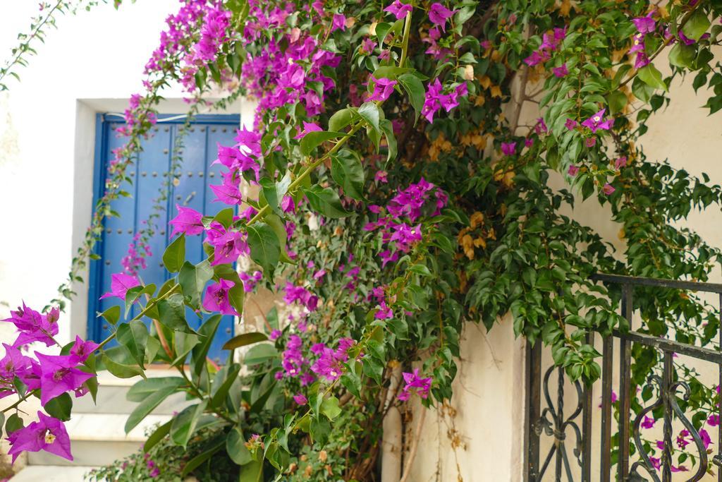 La Casa De La Bombilla Verde Trevélez المظهر الخارجي الصورة